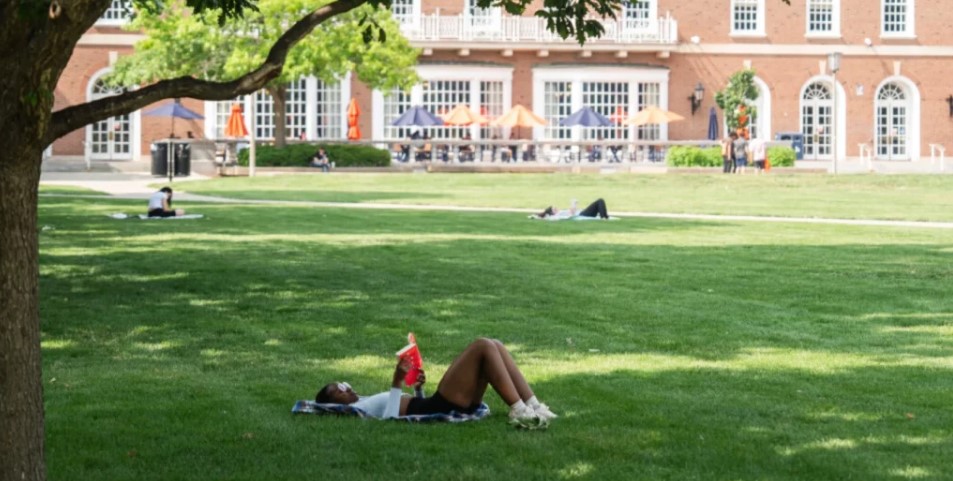 A person reads on the Main Quad at the University of Illinois Urbana-Champaign. Photo: Pat Nabong / Chicago Sun-Times