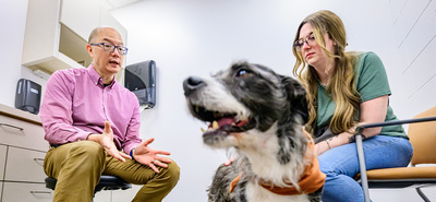 Veterinary clinical medicine professor Dr. Timothy Fan consulting about a dog