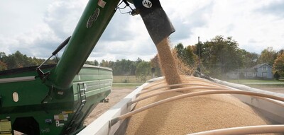 Soybeans are loaded into a truck from a transfer hopper during harvest season in Deerfield, Ohio, U.S., October 7, 2021. REUTERS/Dane Rhys/File Photo