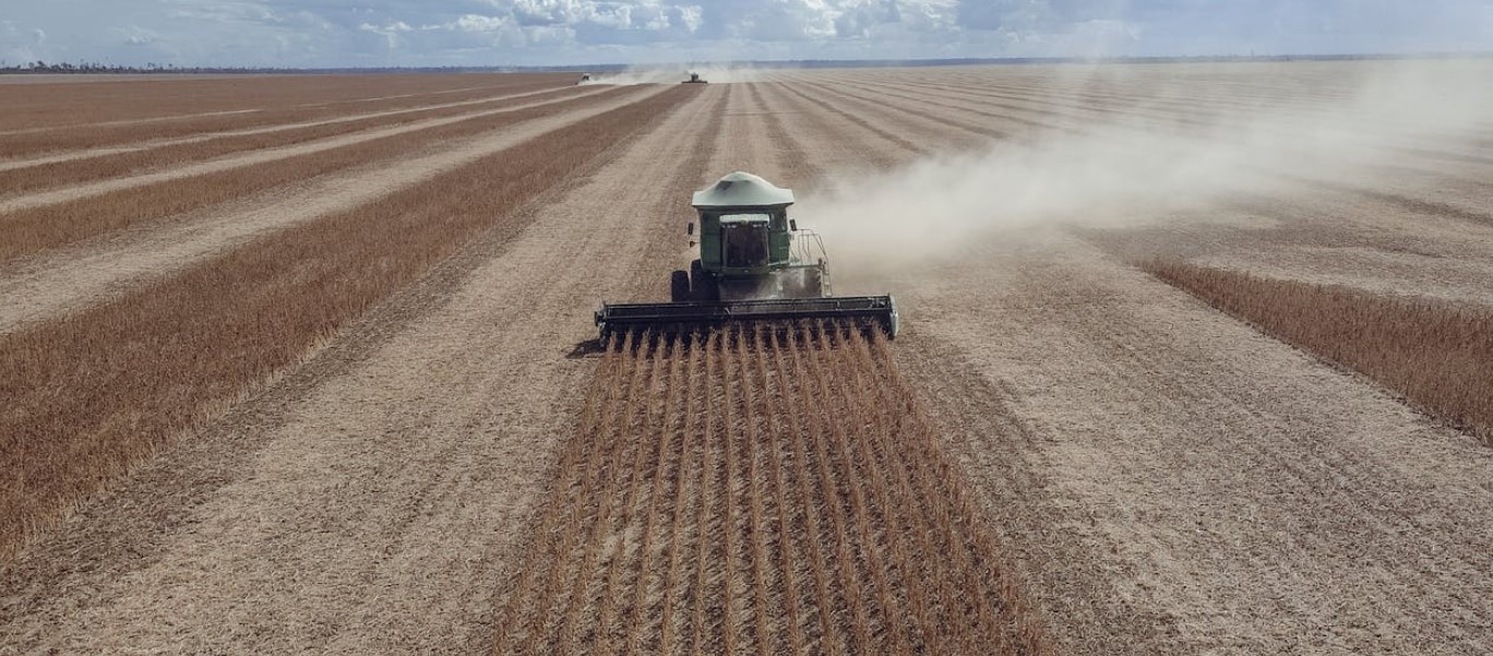 stock image of a soybean field being harvested from Pexels
