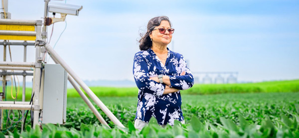Agricultural and consumer economics professor Madhu Khanna and her colleagues propose policies that would reward farmers for adopting “climate-smart” practices when growing biofuel crops. Photo by Fred Zwicky
