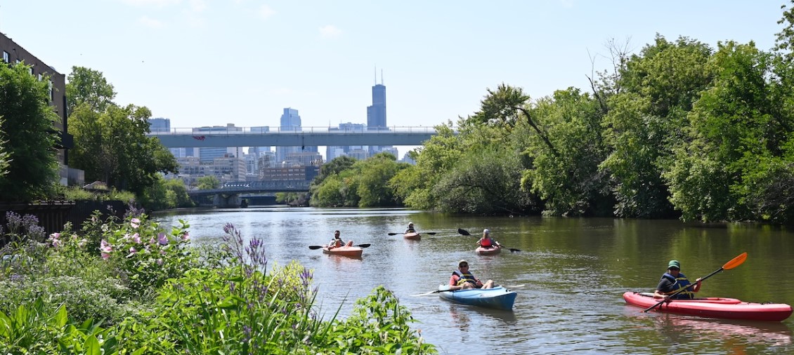 Kayakers paddle on the Chicago River's Wild Mile. Photo credit Illinois-Indiana Sea Grant.