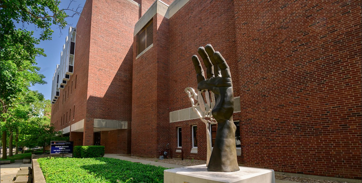 sculpture of a hand on the U. of I. campus. Photo by Fred Zwicky