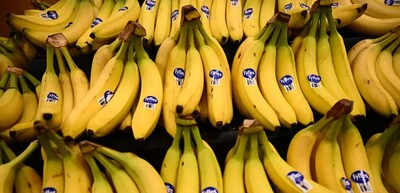 Bananas are displayed for sale in the fresh produce area of a Sprouts Farmers Market grocery store in Redondo Beach, California on February 23, 2024. Patrick T. Fallon—Getty Images