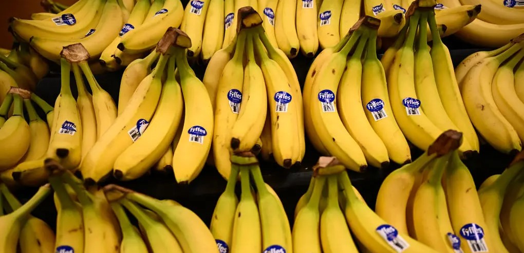 Bananas are displayed for sale in the fresh produce area of a Sprouts Farmers Market grocery store in Redondo Beach, California on February 23, 2024. Patrick T. Fallon—Getty Images