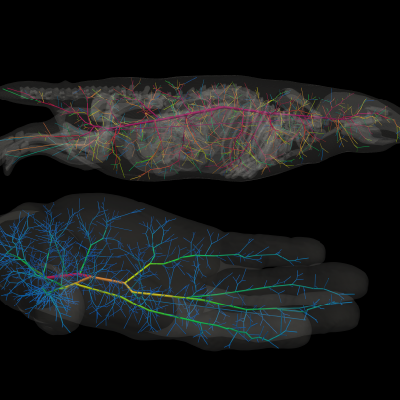 Kevin Huang's Image of Research Entry