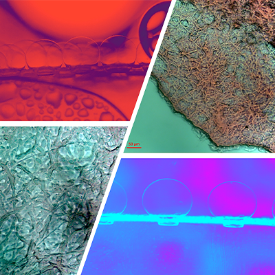 Image of Research