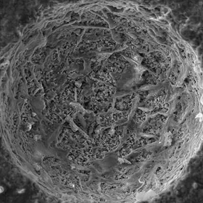Baten Baysezid's Image of Research Submission