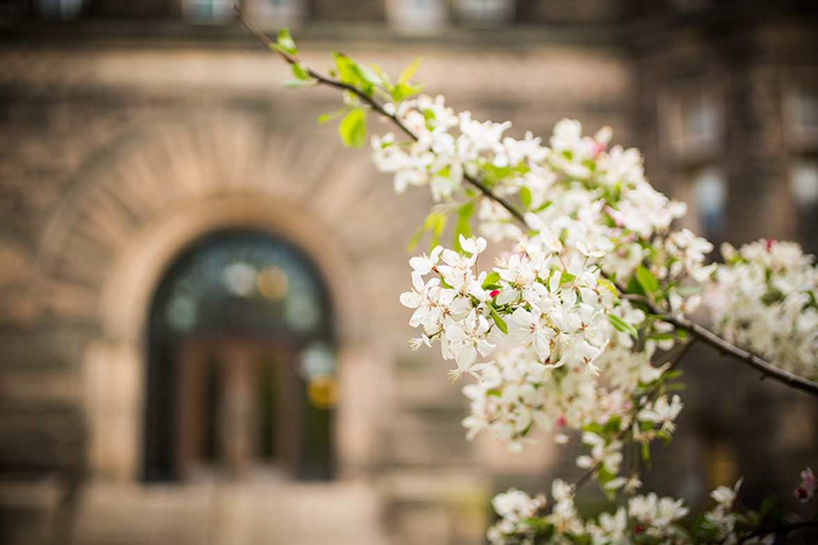 Spring blossoms frame an academic building on campus