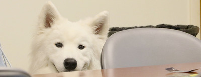 Photo of Kirby smiling at the camera