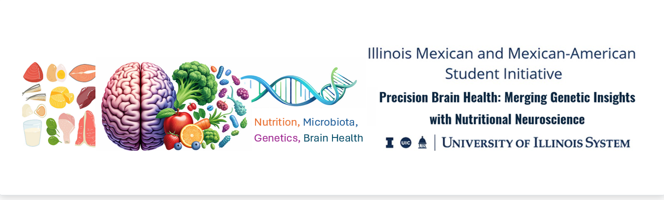 Banner-style graphic promoting the Illinois Mexican and Mexican-American Student Initiative. On the left, a split illustration shows a human brain surrounded by various foods, including fruits, vegetables, fish, grains, and water, symbolizing diet and health. Nearby, colorful icons represent microbiota and nutrients, alongside a DNA double helix. The words “Nutrition, Microbiota, Genetics, Brain Health” appear in colored text. On the right, the title reads “Precision Brain Health: Merging Genetic Insights with Nutritional Neuroscience,” with University of Illinois System logos and name displayed below.
