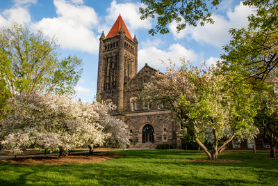 Flowering trees frame a campus building