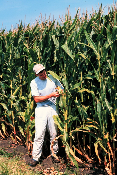 Joseph Spencer stands in a cornfield in an old photo.