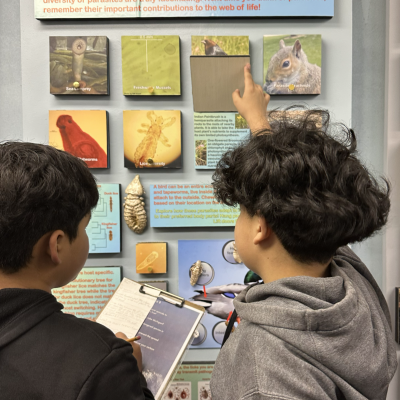 Two boys interacting with an exhibit.