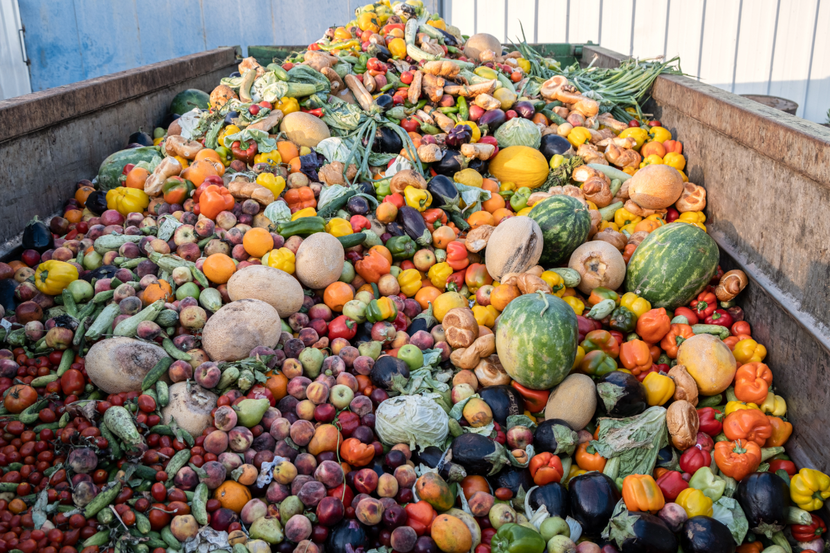 Truckbed filled with fruits and vegetables.