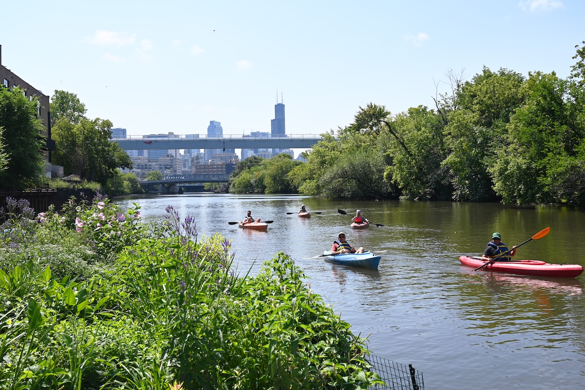 Kayakers paddle on the Chicago River's Wild Mile. Photo credit Illinois-Indiana Sea Grant.
