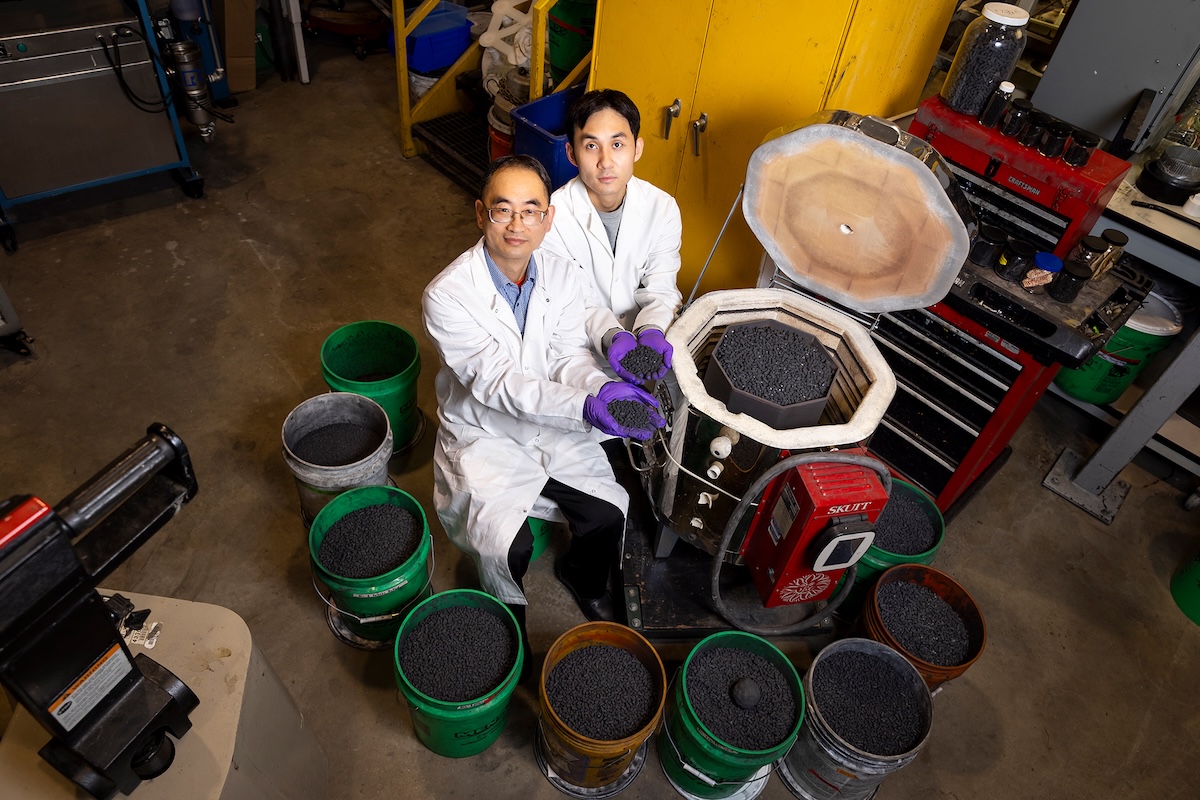 Researchers hold pelletized biochar