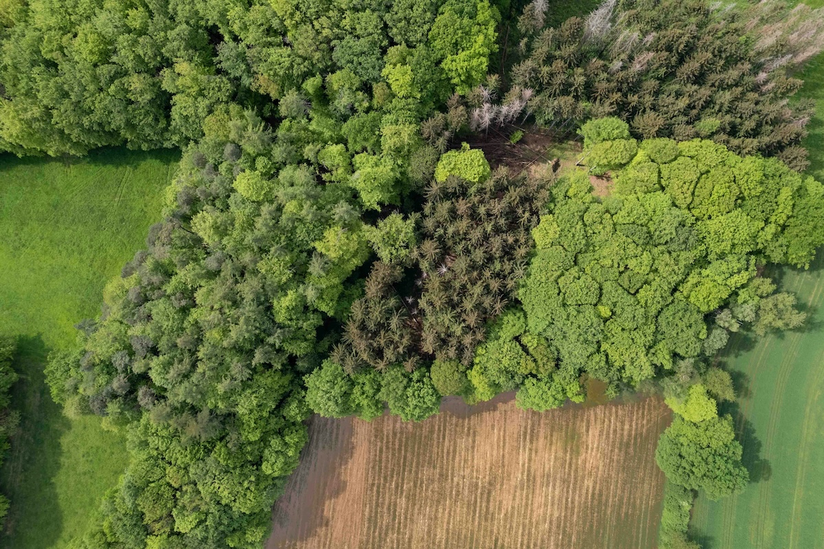 Aerial photo shows farm fields at the edge of a wooded area.