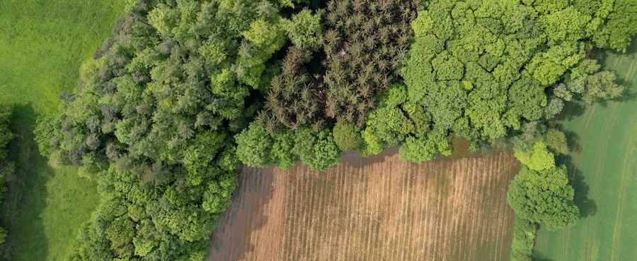 Aerial photo shows farm fields at the edge of a wooded area.