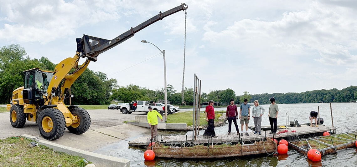 In June 2025, Illinois State Water Survey research scientist Erin Bauer and her colleagues built and installed two floating wetlands in Lake Decatur, Illinois. The project aims to evaluate the viability of floating wetlands and their potential effects on water quality, sedimentation and wildlife. Photo by Rafael Tinoco