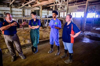 Students learn about cows in the dairy barn