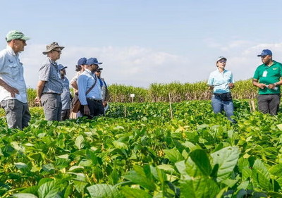 People standing in a soybean field in Malawi, Africa