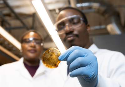 Researchers tested bioplastics created with lignin from several different plant sources. (Photo: Jenny Fontaine/UIC)