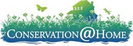 Photo courtesy of conservation@home
