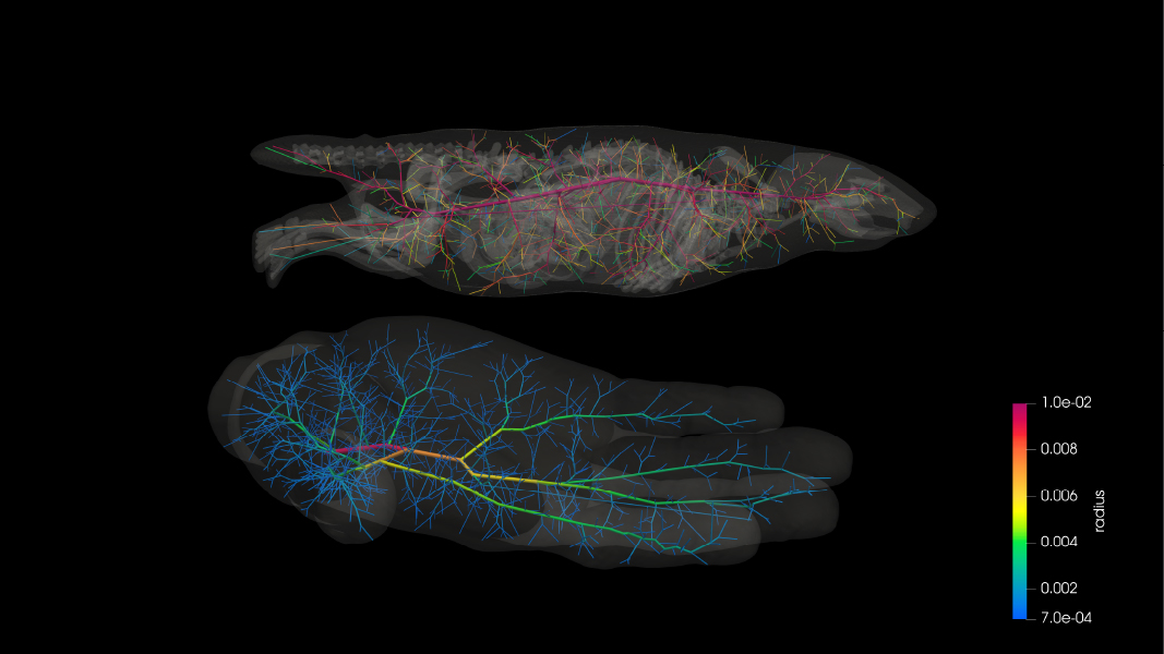 Synthetic Symbiosis: A Cruelty-Free Future. 3D model of a human hand holding a mouse, featuring synthetic stochastic vasculature against a dark background.