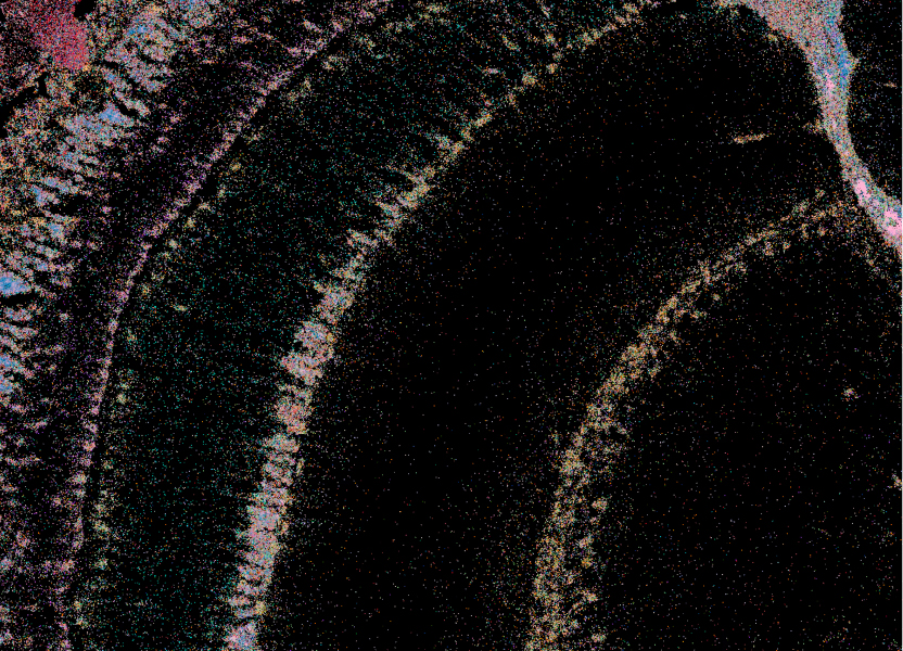 City Lights from the Night Sky. Aggression-related transcripts illuminating the honey bee optic lobe.